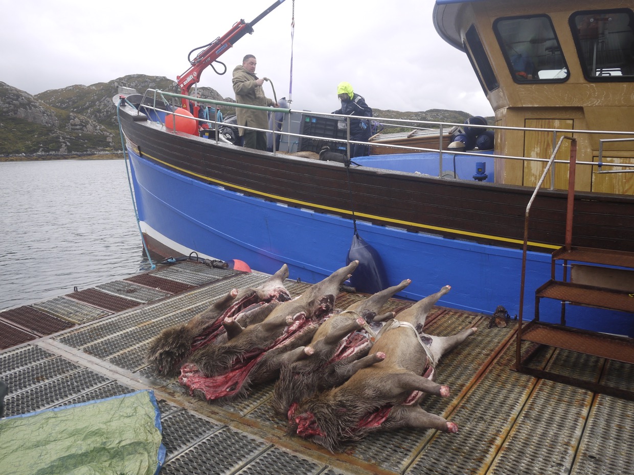 Ready for Transporting