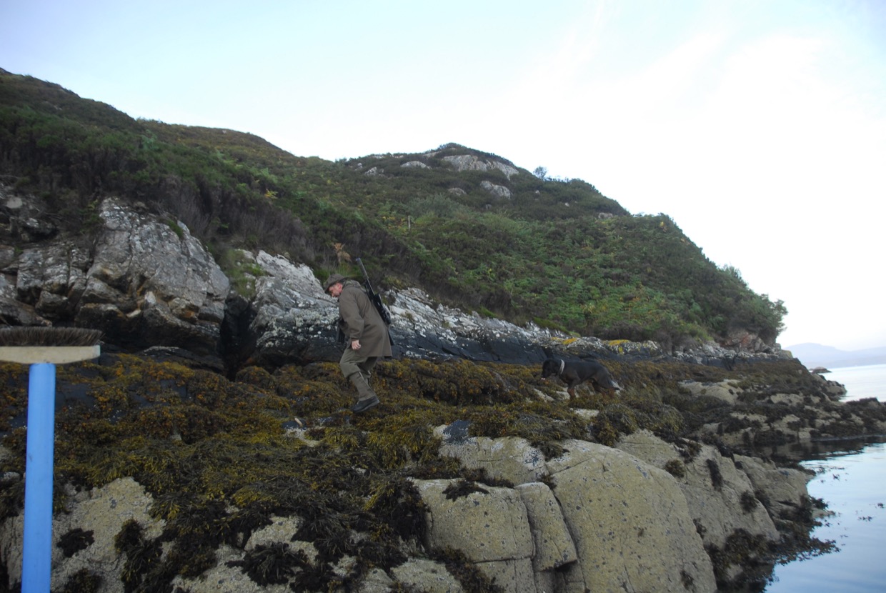 Dropped Off 7.30am/South of Big Harbour