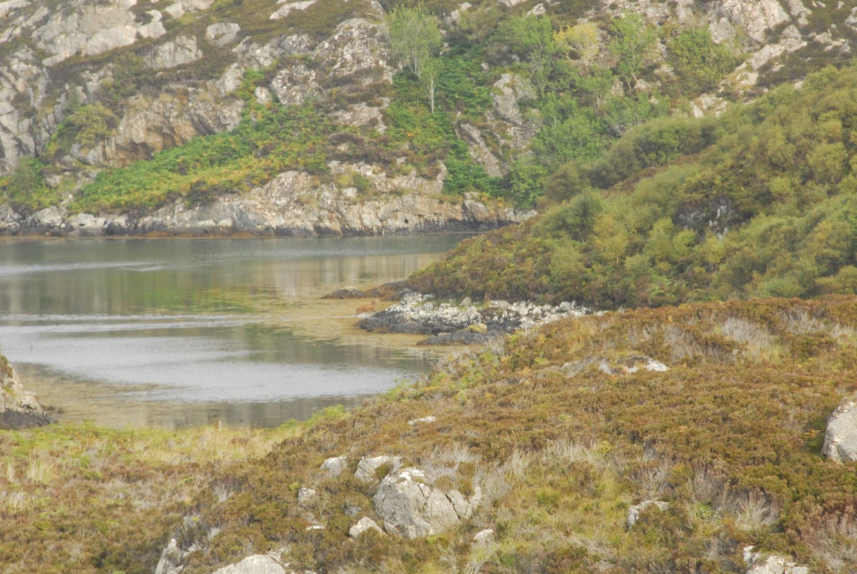 Up North 2pm/Swimmers