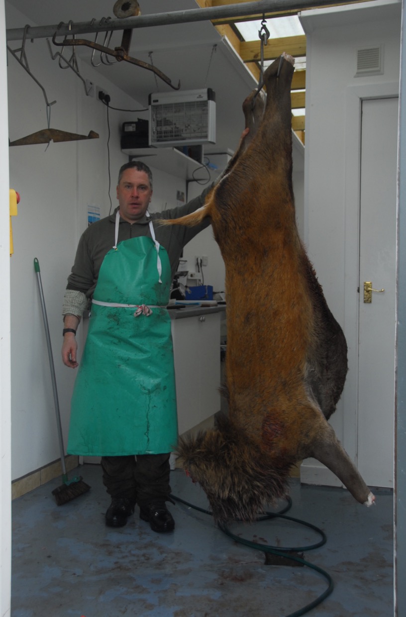 Bigger Than We Thought