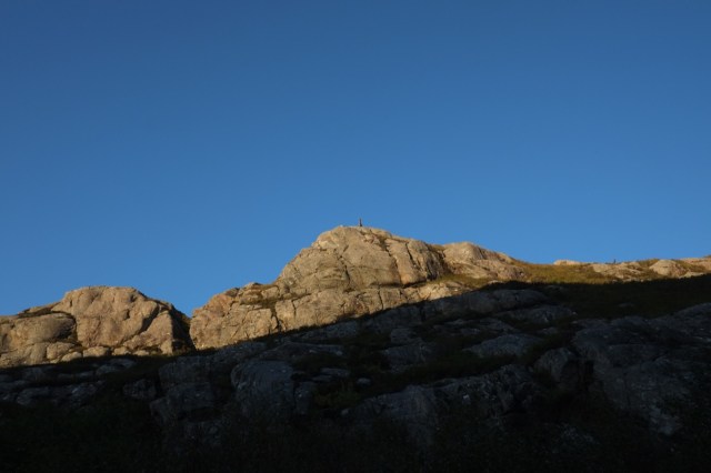 Still Looking for Stags