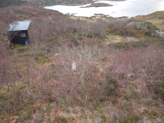 The Solar Water Heating Site