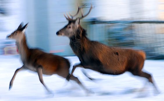 This is What it Should Look Like.