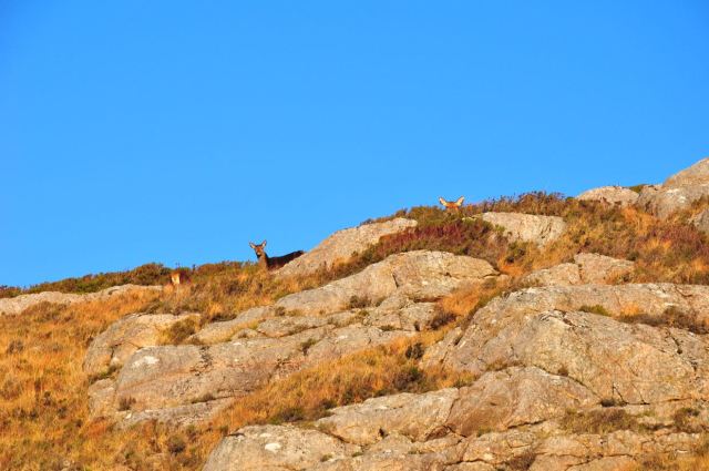 On Route To Dry Harbour