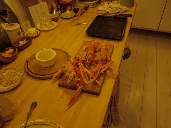 Anniversary Courtesay of Yogi