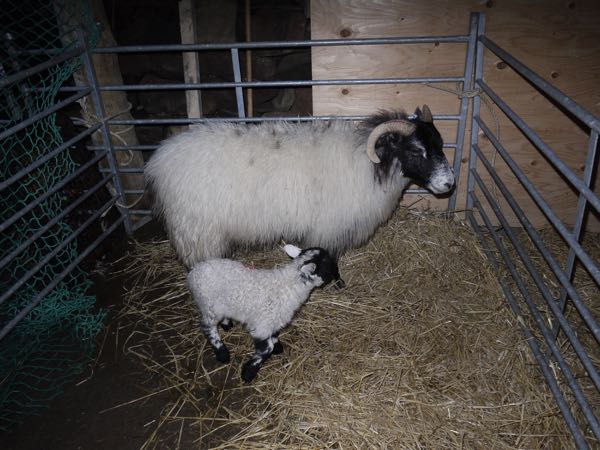 In The Weather Shelter