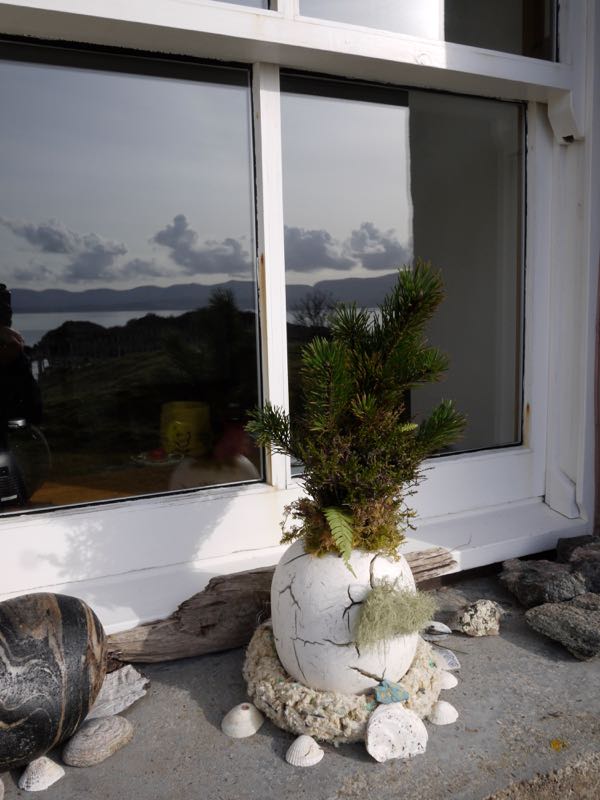 Nicola's Art Project