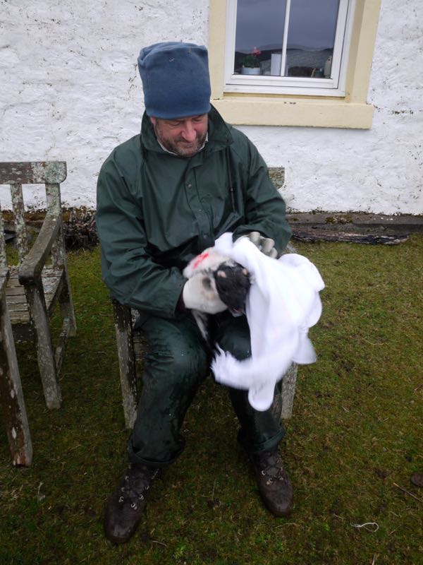 There is Always One Feeder