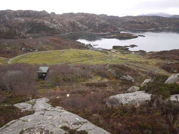 Missing Ewe and Lamb