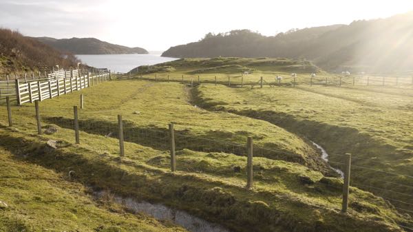 Spring Sun on a Wet Day