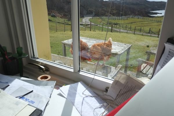 Hurry Up With The New Door