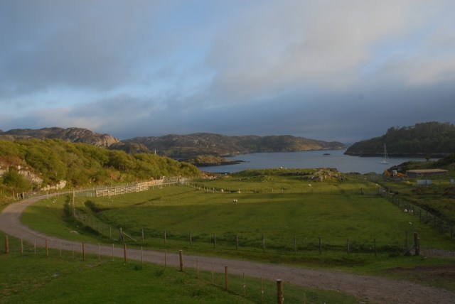 Foggy Days Approaching.