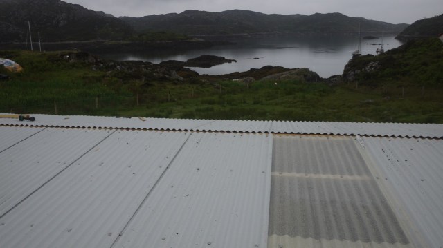 Looking Good In The Rain