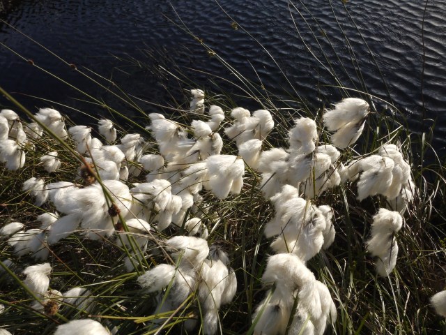 Great Growth This Year