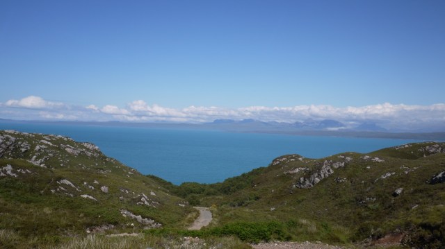 But What About The Plankton Bloom