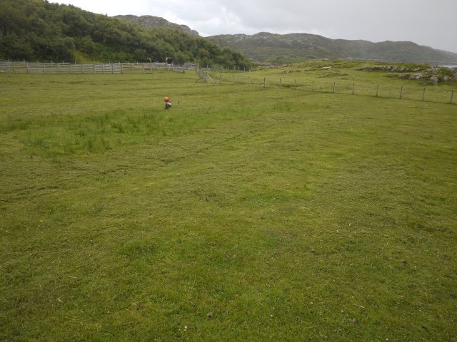 Mega Strim This Week.