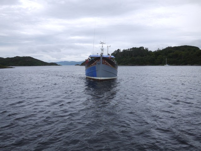 The New Colour Scheme