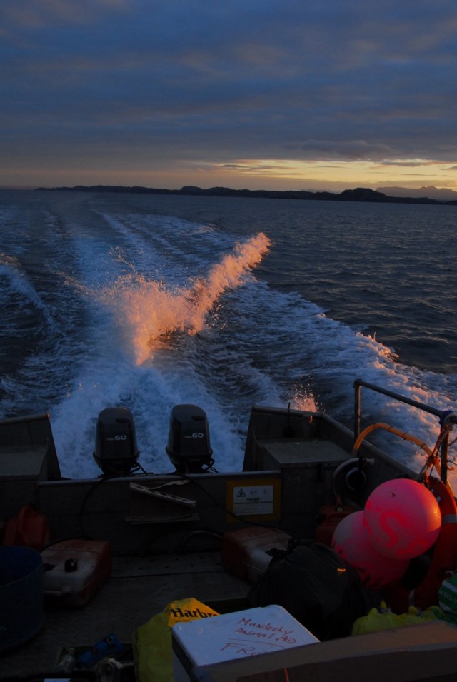 Flat Calm, Fast Run Down