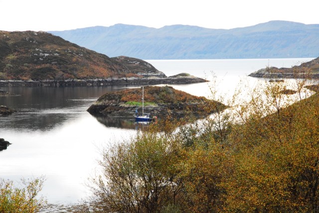 Another Late Visitor