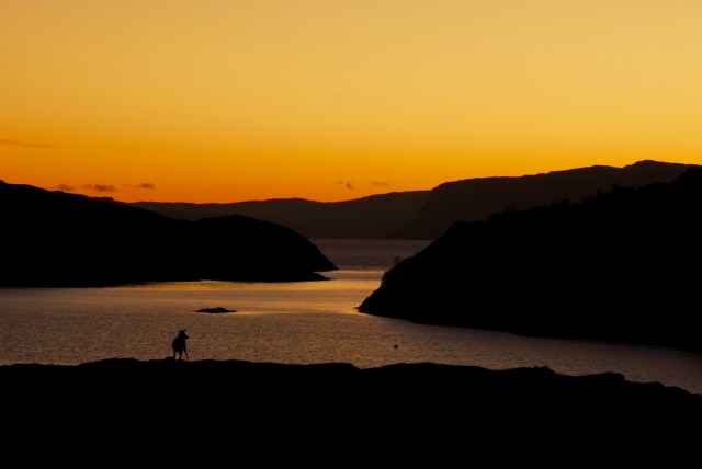 Julie Looking For Spilt Cobs