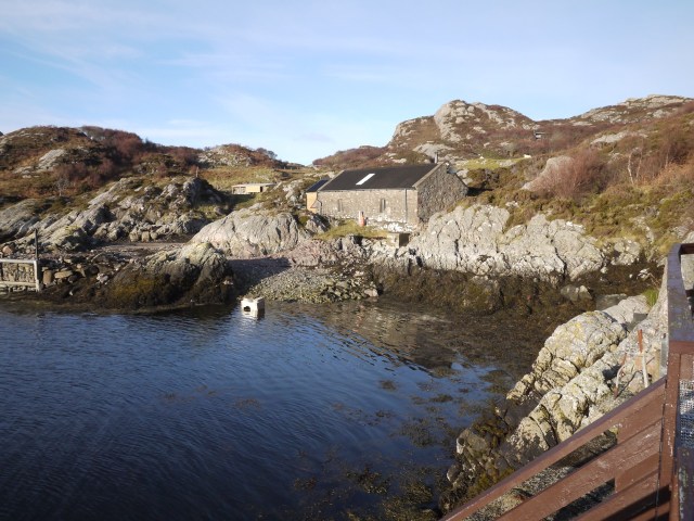 Cleaning Out The Compost