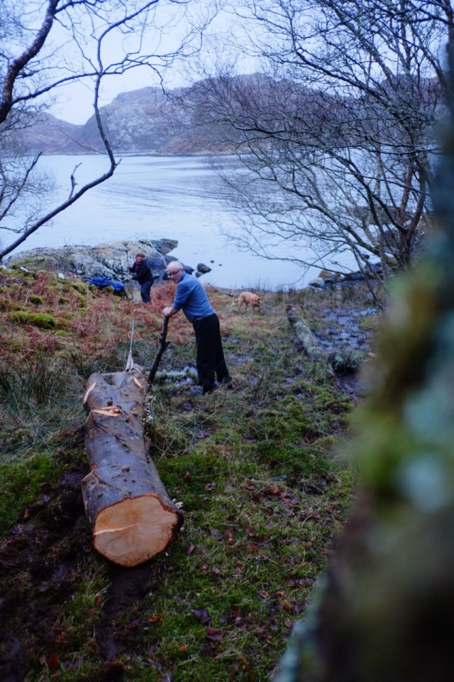 Old Forestry Technology