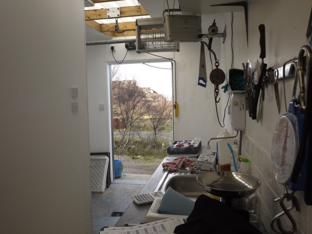 Butchering on a Sunny Day!!!!! 