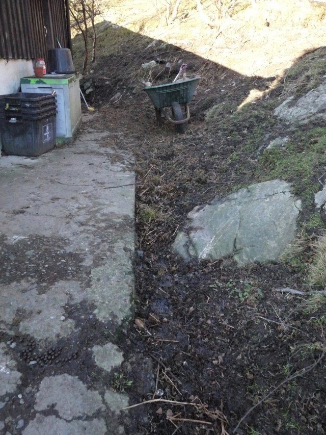 Clearing up After the Hens