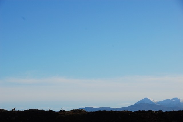 The Time For Counting Deer