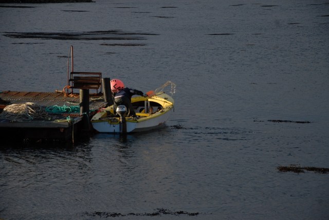 Some Repair Still Required