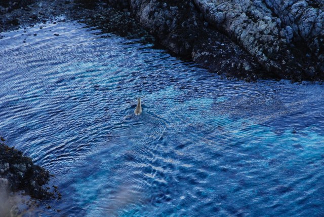 The Visitor Was Last Off